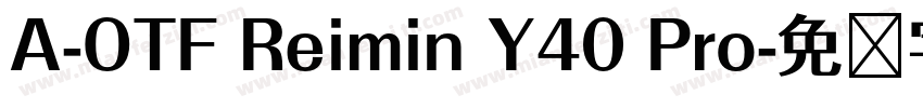 A-OTF Reimin Y40 Pro字体转换